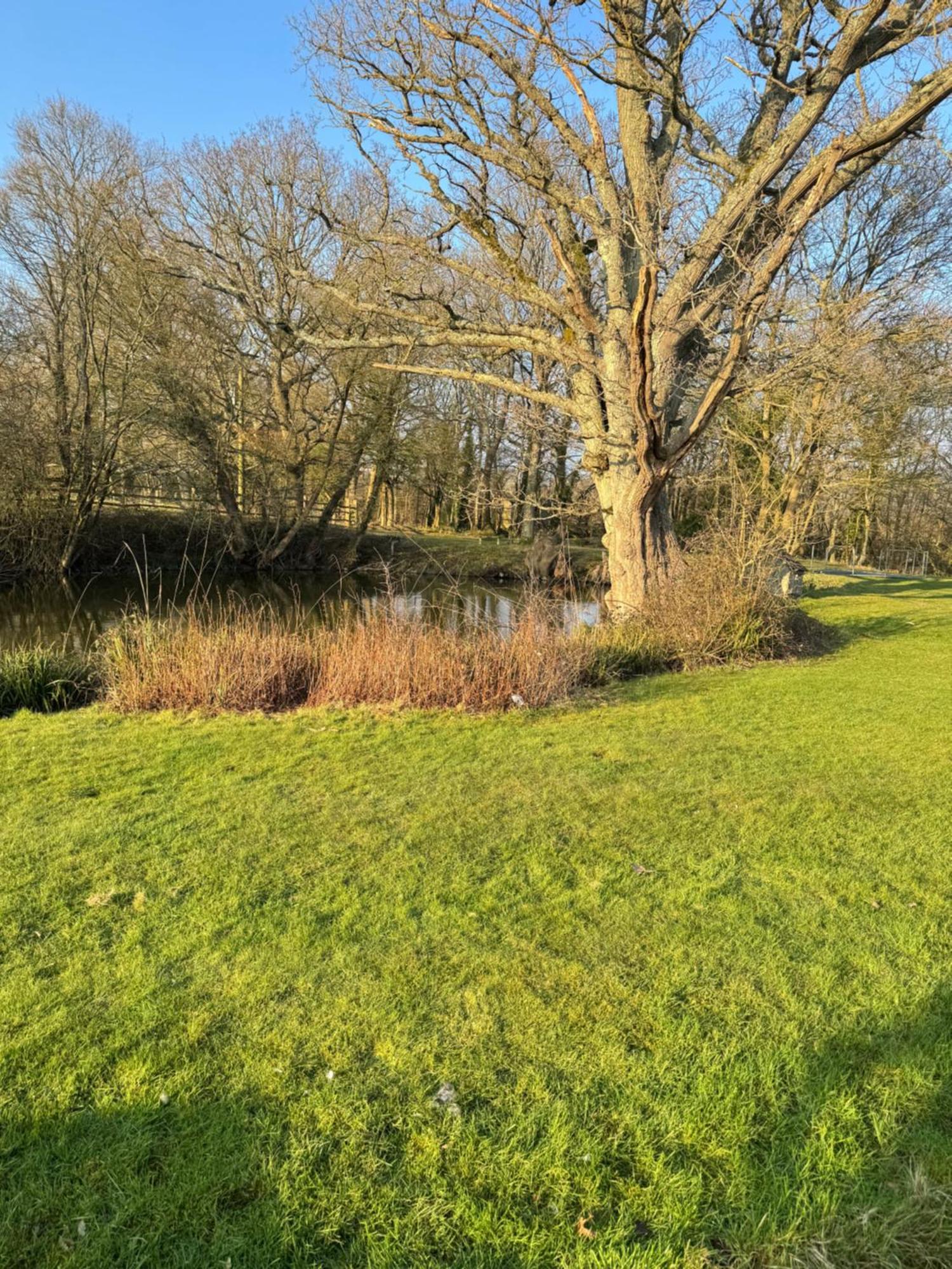 Waters Edge Apartment Rolvenden Luaran gambar